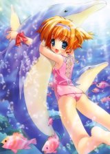 BUY NEW aquarian age card game - 129797 Premium Anime Print Poster