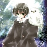 BUY NEW aquarian age card game - 22454 Premium Anime Print Poster