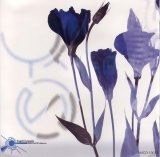 BUY NEW ar tonelico - 72300 Premium Anime Print Poster