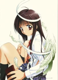 BUY NEW aya kadoi - 55329 Premium Anime Print Poster