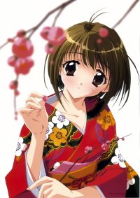 BUY NEW aya kadoi - 55331 Premium Anime Print Poster