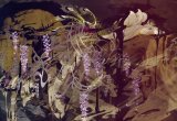 BUY NEW aya kato - 171859 Premium Anime Print Poster