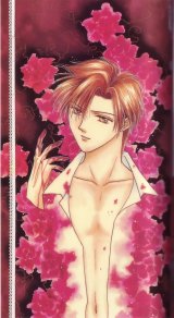 BUY NEW ayashi no ceres - 123914 Premium Anime Print Poster