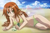 BUY NEW bamboo blade - 166149 Premium Anime Print Poster