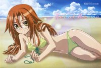 BUY NEW bamboo blade - 166149 Premium Anime Print Poster