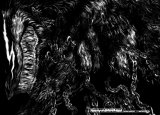 BUY NEW berserk - 145657 Premium Anime Print Poster