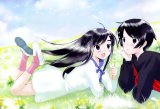 BUY NEW binbou shimai monogatari - 136184 Premium Anime Print Poster