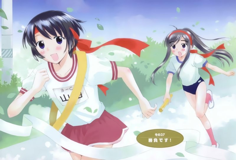 Buy Binbou Shimai Monogatari Animeprintz Com