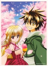 BUY NEW black cat - 120725 Premium Anime Print Poster