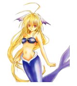 BUY NEW black cat - 131882 Premium Anime Print Poster