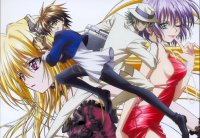 BUY NEW black cat - 162503 Premium Anime Print Poster