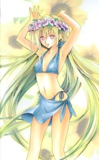 BUY NEW black cat - 16597 Premium Anime Print Poster