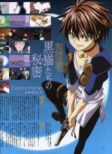 BUY NEW black cat - 28889 Premium Anime Print Poster