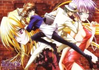 BUY NEW black cat - 42064 Premium Anime Print Poster