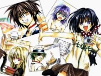 BUY NEW black cat - 42079 Premium Anime Print Poster