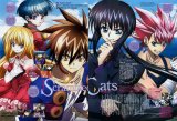 BUY NEW black cat - 51971 Premium Anime Print Poster
