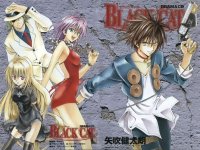 BUY NEW black cat - 52681 Premium Anime Print Poster
