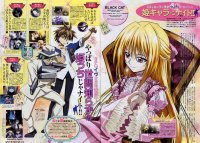 BUY NEW black cat - 53238 Premium Anime Print Poster