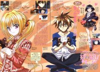BUY NEW black cat - 67462 Premium Anime Print Poster