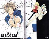 BUY NEW black cat - 82711 Premium Anime Print Poster