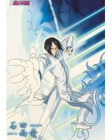 BUY NEW bleach - 10033 Premium Anime Print Poster