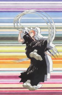 BUY NEW bleach - 101077 Premium Anime Print Poster
