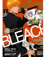 BUY NEW bleach - 105026 Premium Anime Print Poster
