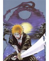 BUY NEW bleach - 112792 Premium Anime Print Poster