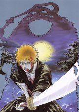 BUY NEW bleach - 112792 Premium Anime Print Poster