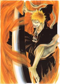 BUY NEW bleach - 112794 Premium Anime Print Poster