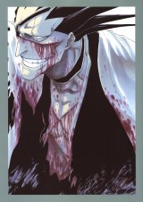 BUY NEW bleach - 113180 Premium Anime Print Poster