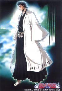 BUY NEW bleach - 118913 Premium Anime Print Poster