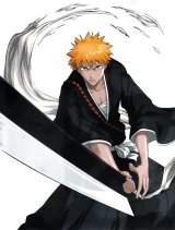 BUY NEW bleach - 144004 Premium Anime Print Poster