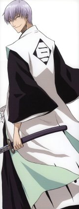 BUY NEW bleach - 145277 Premium Anime Print Poster