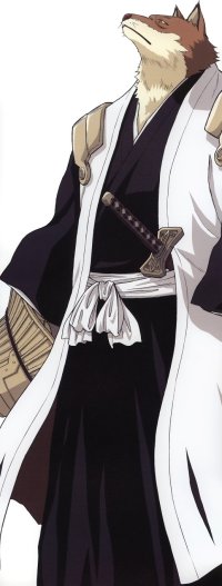 BUY NEW bleach - 145560 Premium Anime Print Poster