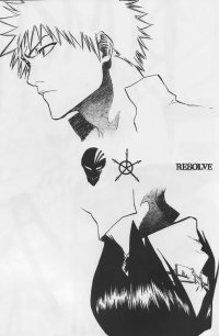 BUY NEW bleach - 157789 Premium Anime Print Poster
