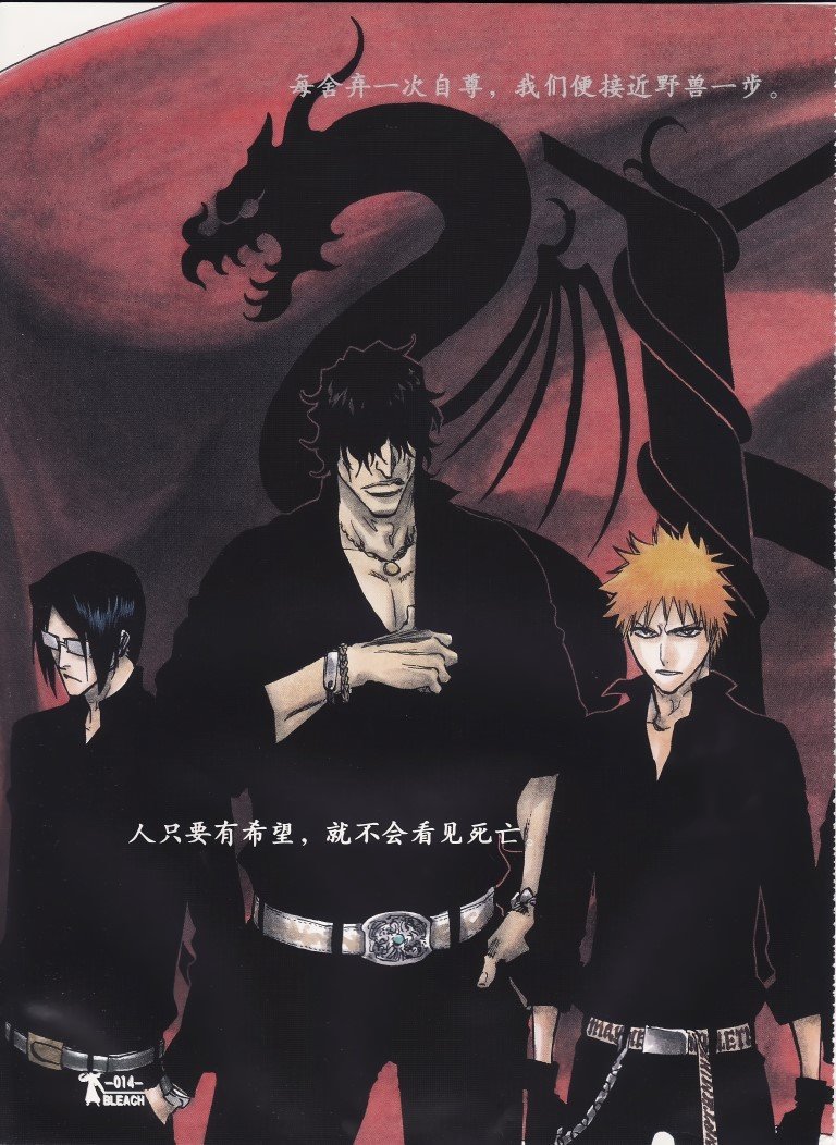 BUY NEW bleach - 157991 Premium Anime Print Poster bleach - 157991 image