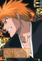 BUY NEW bleach - 161740 Premium Anime Print Poster
