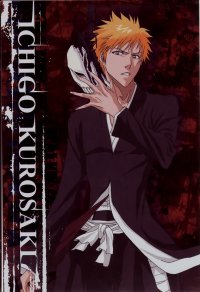 BUY NEW bleach - 174536 Premium Anime Print Poster