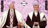 BUY NEW bleach - 184240 Premium Anime Print Poster