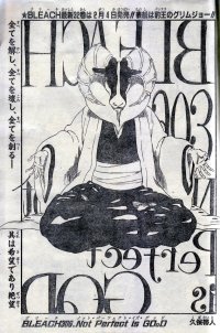 BUY NEW bleach - 184885 Premium Anime Print Poster
