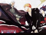 BUY NEW bleach - 187106 Premium Anime Print Poster