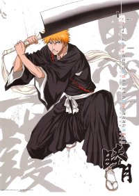 BUY NEW bleach - 31526 Premium Anime Print Poster
