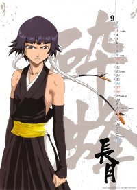 BUY NEW bleach - 31720 Premium Anime Print Poster