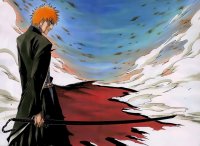 BUY NEW bleach - 4106 Premium Anime Print Poster