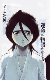 BUY NEW bleach - 64236 Premium Anime Print Poster