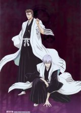 BUY NEW bleach - 66788 Premium Anime Print Poster