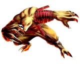 BUY NEW bloody roar - 88152 Premium Anime Print Poster