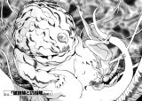 BUY NEW blueseed - 171766 Premium Anime Print Poster