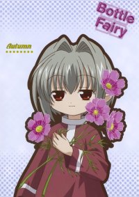 BUY NEW bottle fairies - 178612 Premium Anime Print Poster